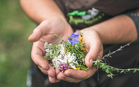 WILD HERBS COURSE WITH „TAUERNHEX“ MICHAELA VEIT