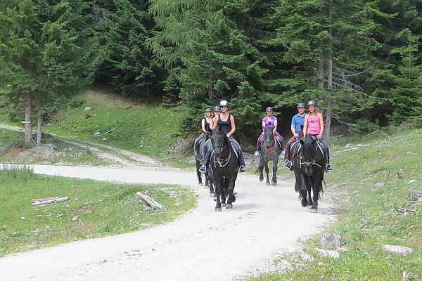[Translate to EN:] Reiten in Tweng