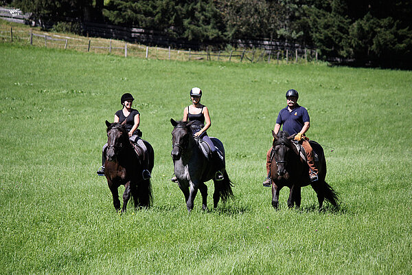 [Translate to EN:] Reiten in Tweng